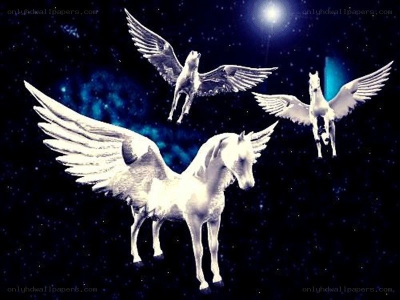 Three white winged horses in space