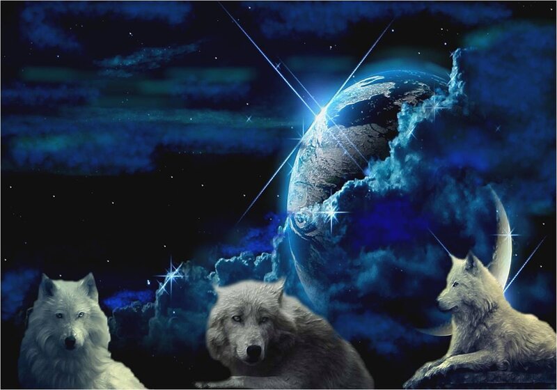 Three White Wolves — Blue, Dramatic, Night