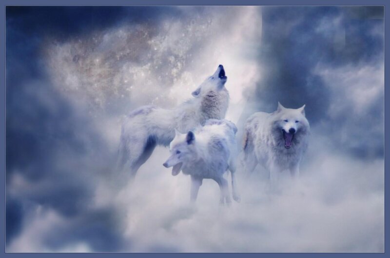 Three White Wolves — Dramatic, Digital Art