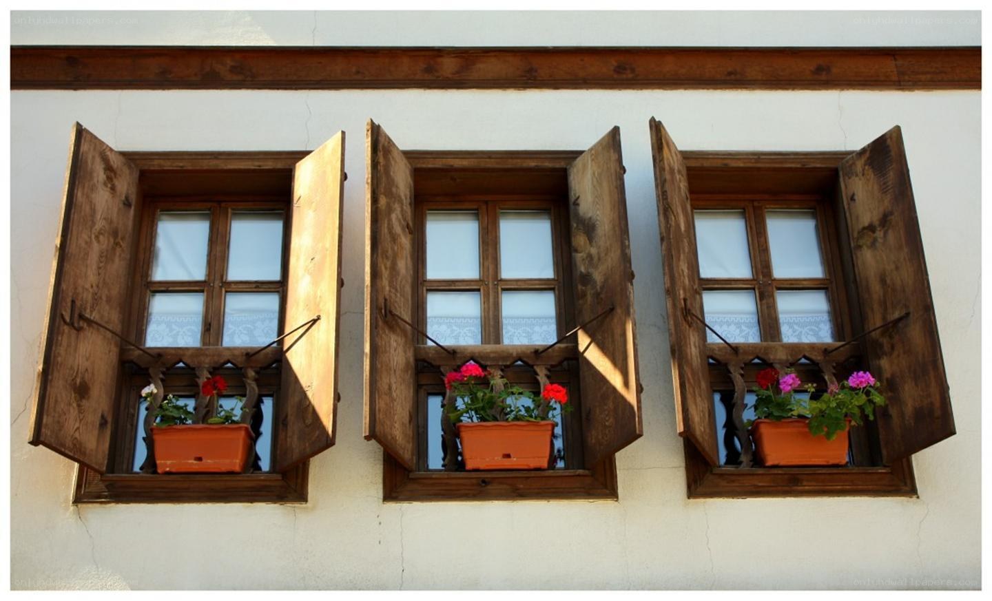 three windows with flower pots