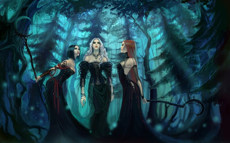 Three Witches in Forest