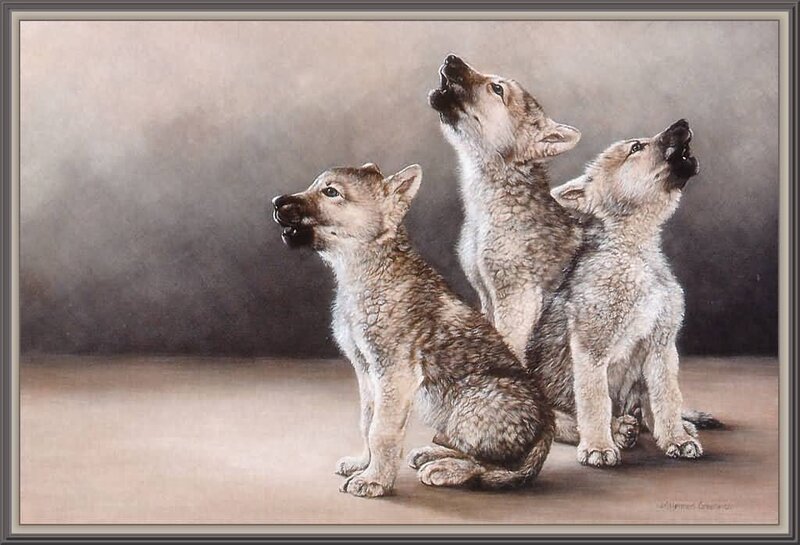 three wolf pups howling