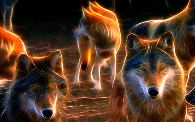 Three Wolves Glowing
