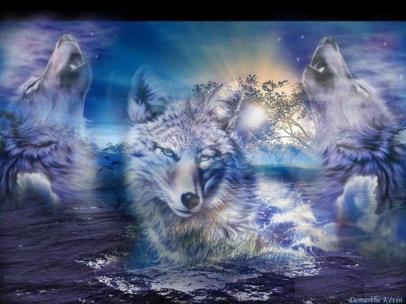 Three wolves howling at night