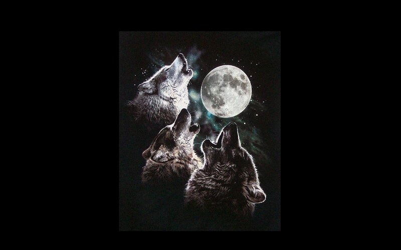 Three wolves howling at the moon
