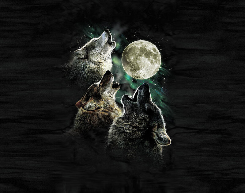 Three wolves howling at the moon