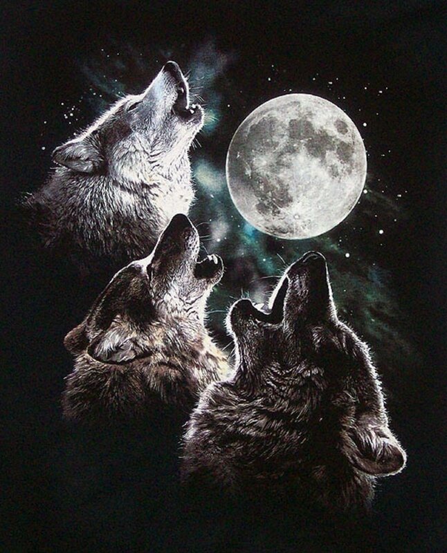 Three Wolves Howling — Black, Dramatic, Night, Digital Art