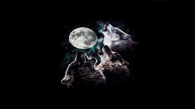 Three Wolves Howling — Black, Dramatic, Night