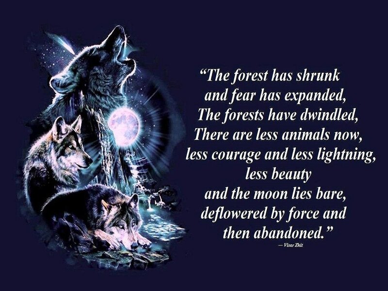 Three Wolves Howling — Blue, Dramatic, Night, Digital Art, Moon, Forest