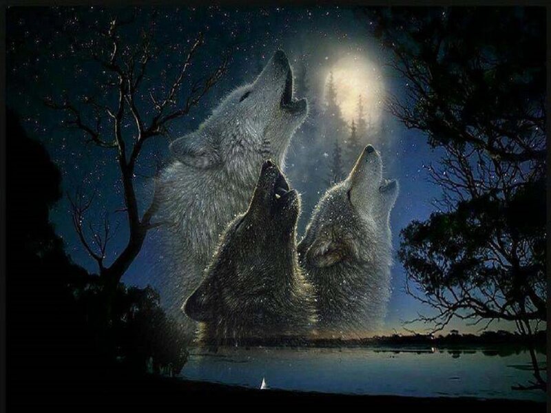 Three Wolves Howling — Blue, Dramatic, Night, Digital Art, Moon, Trees, Lake
