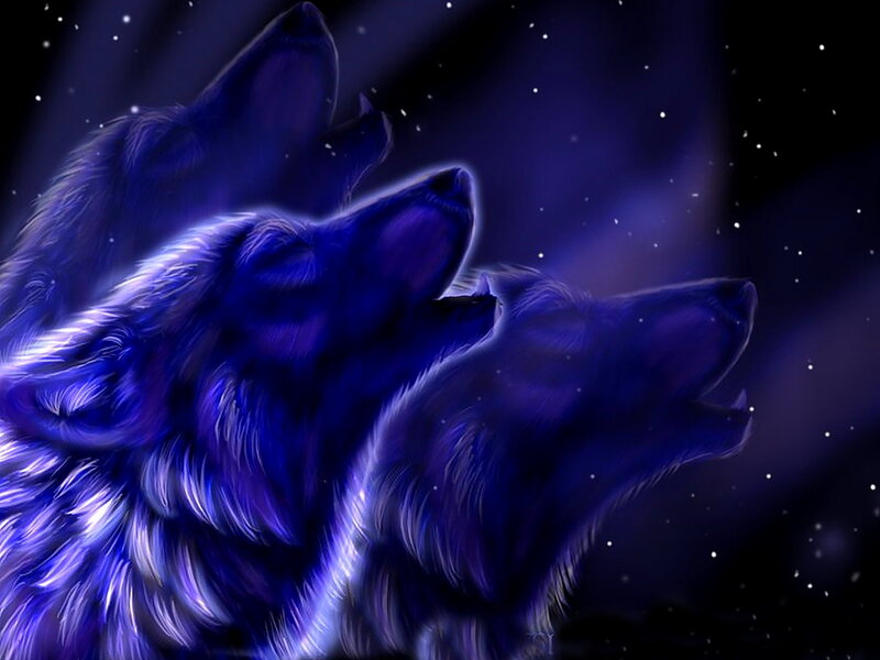 Three Wolves Howling — Blue, Dramatic, Night, Digital Art, Stars