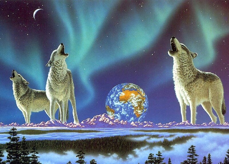 Three Wolves Howling — Blue, Dramatic, Night