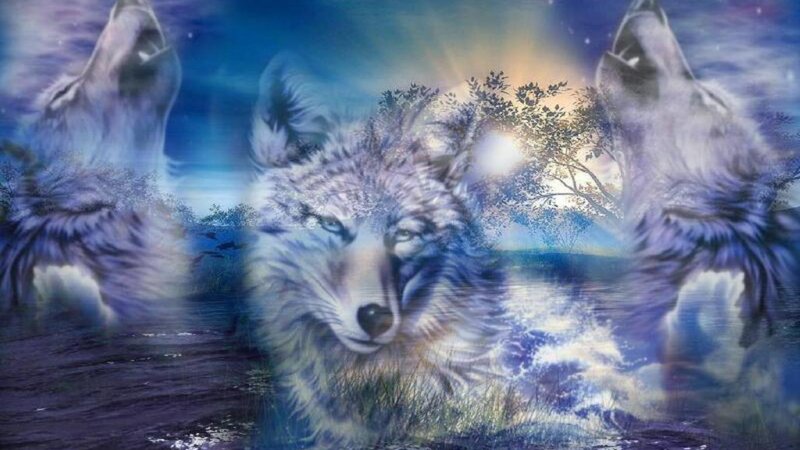 Three Wolves Howling — Blue, Dramatic
