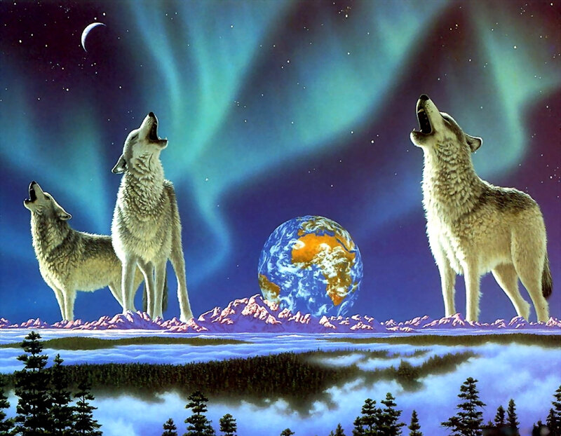 Three Wolves Howling — Blue