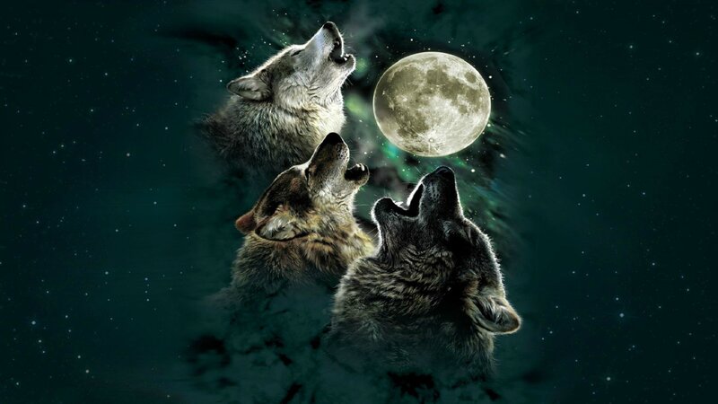 Three Wolves Howling — Dark Green, Dramatic, Night, Digital Art