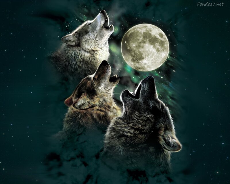 Three Wolves Howling — Dark Green