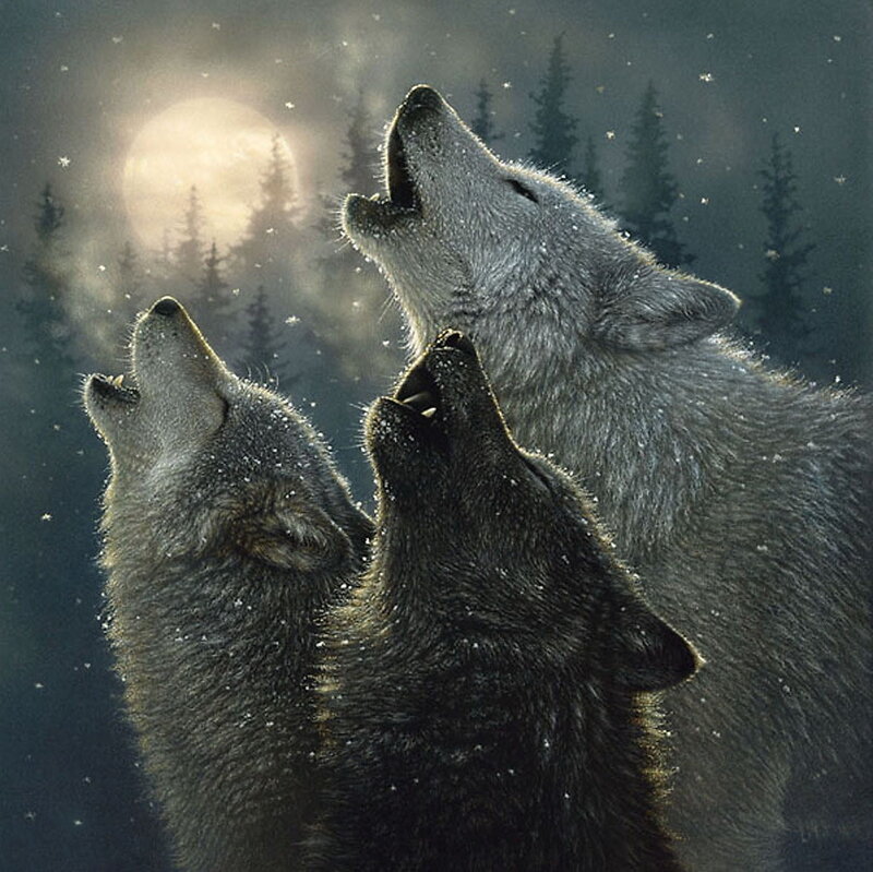 Three Wolves Howling — Gray, Dramatic, Night, Digital Art, Moon, Forest, Snow