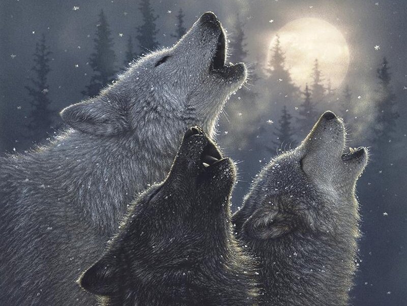 Three Wolves Howling — Gray, Dramatic, Night, Digital Art, Moon, Forest