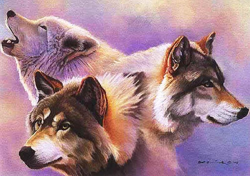 Three Wolves Howling — Purple