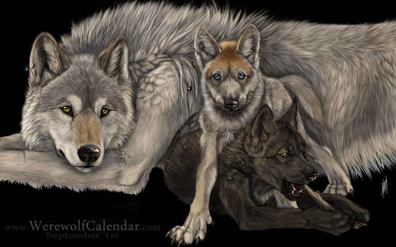 three wolves in a pack