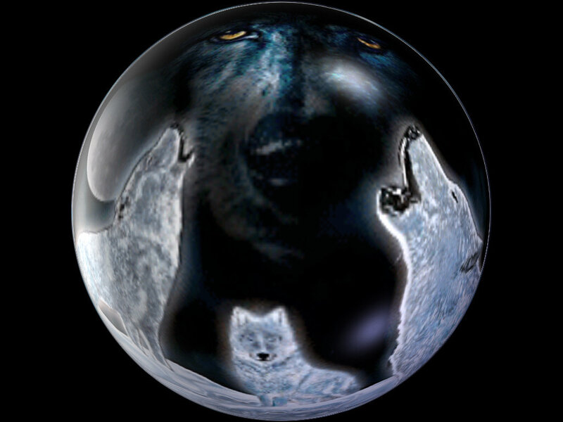 Three Wolves in a Sphere