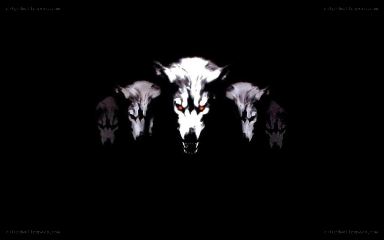 three wolves in darkness