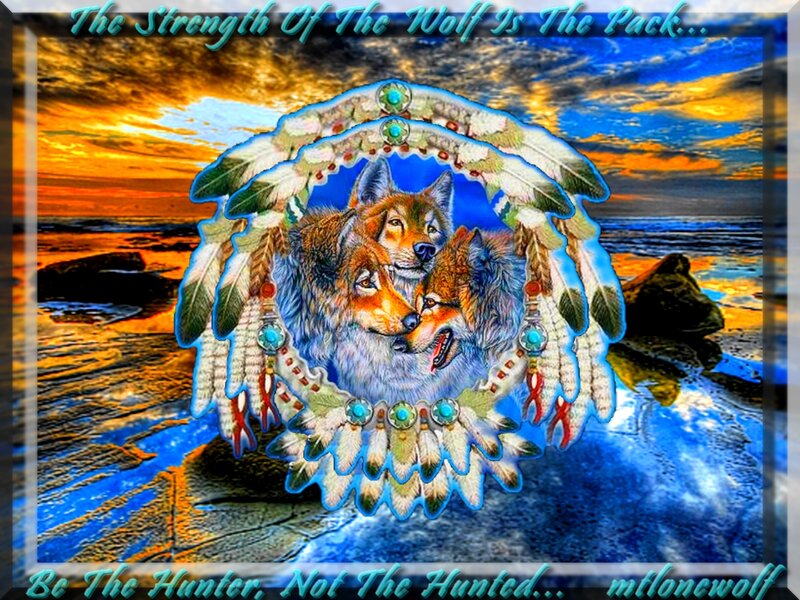 Three Wolves in Dreamcatcher — Blue