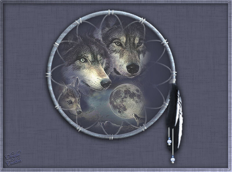 Three Wolves in Dreamcatcher