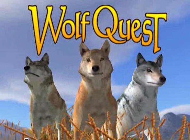 Three Wolves in Field