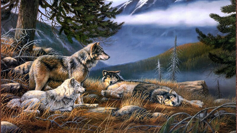 Three Wolves in Forest — Brown, Serene