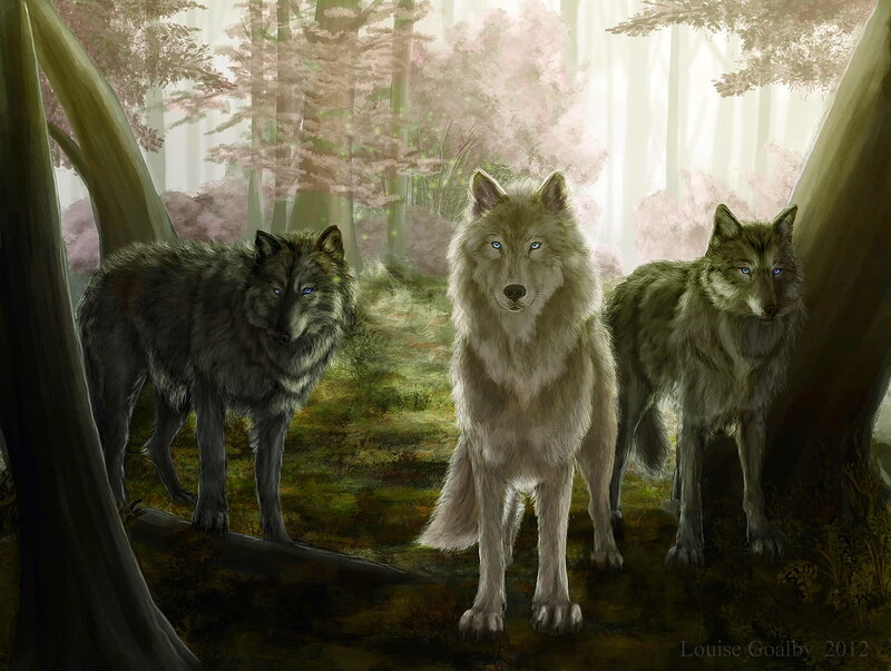 Three Wolves in Forest — Green, Serene