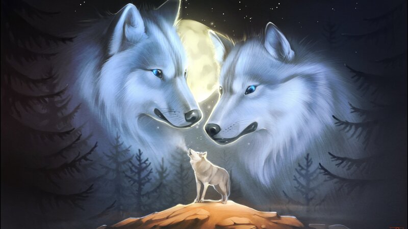 Three Wolves in Forest — White, Dramatic