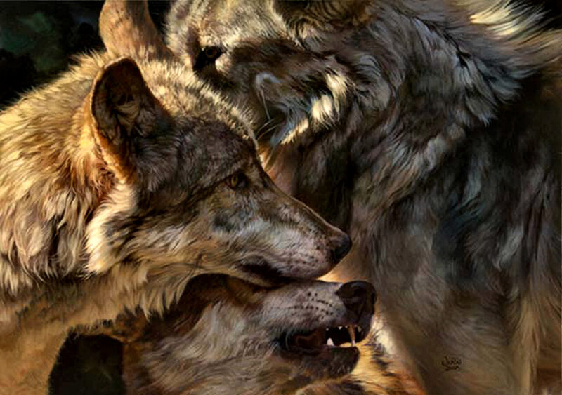 Three Wolves in Pack