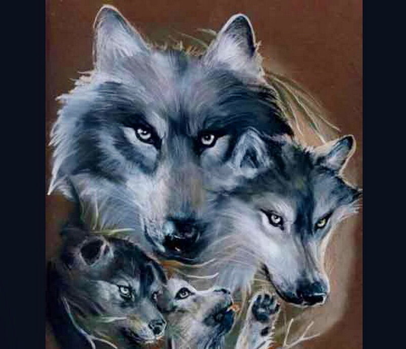 Three Wolves in Portrait