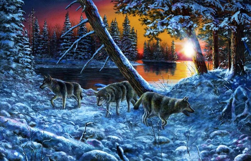 Three Wolves in Snow — Blue, Dramatic
