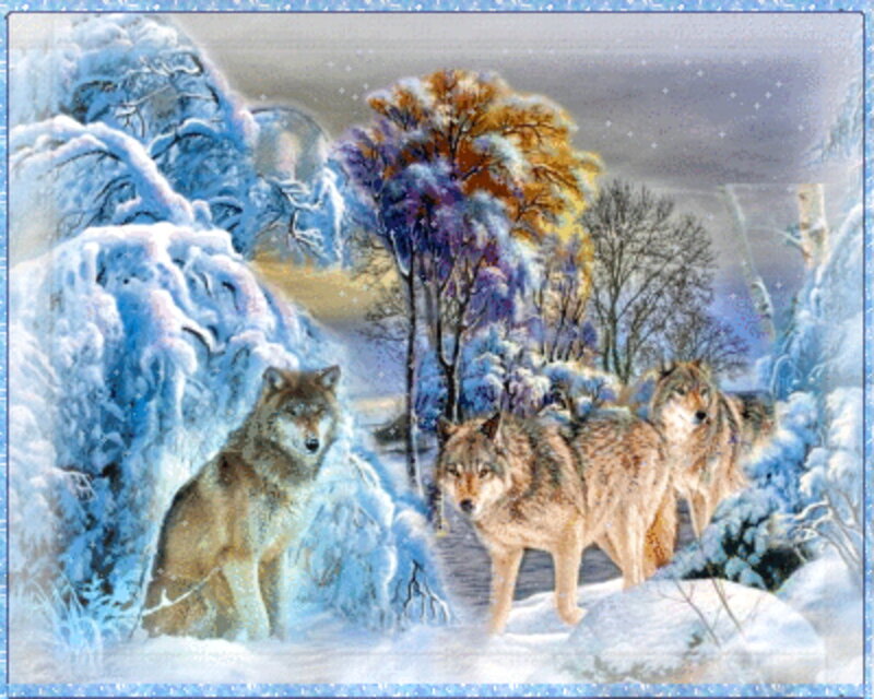 Three Wolves in Snow — Blue, Serene
