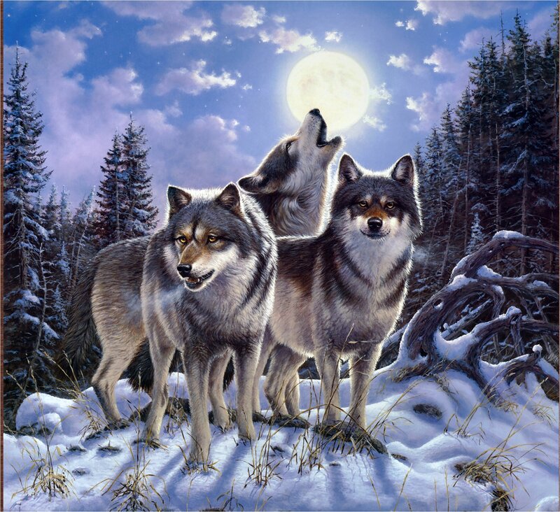 Three Wolves in Snow — Blue
