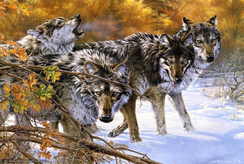Three Wolves in Snow — Brown, Dramatic, Winter