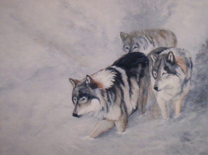 Three Wolves in Snow — Gray, Calm, Winter