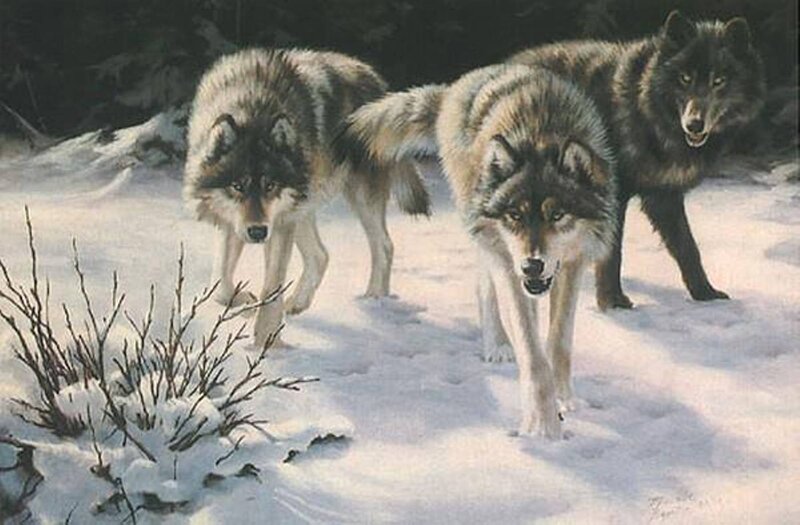 Three Wolves in Snow — White, Dramatic, Winter, Painting