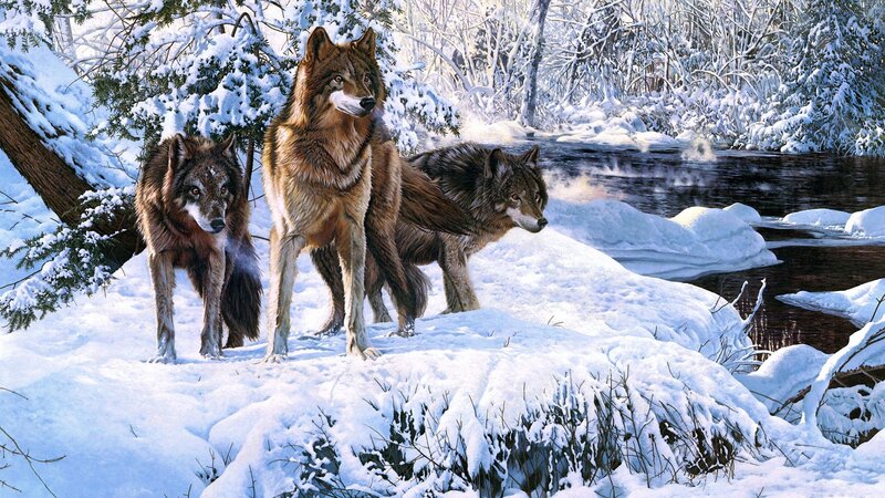 Three Wolves in Snow — White, Serene, Winter, Digital Art