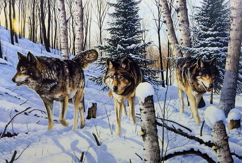 Three Wolves in Snow — White, Serene, Winter, Painting, Forest