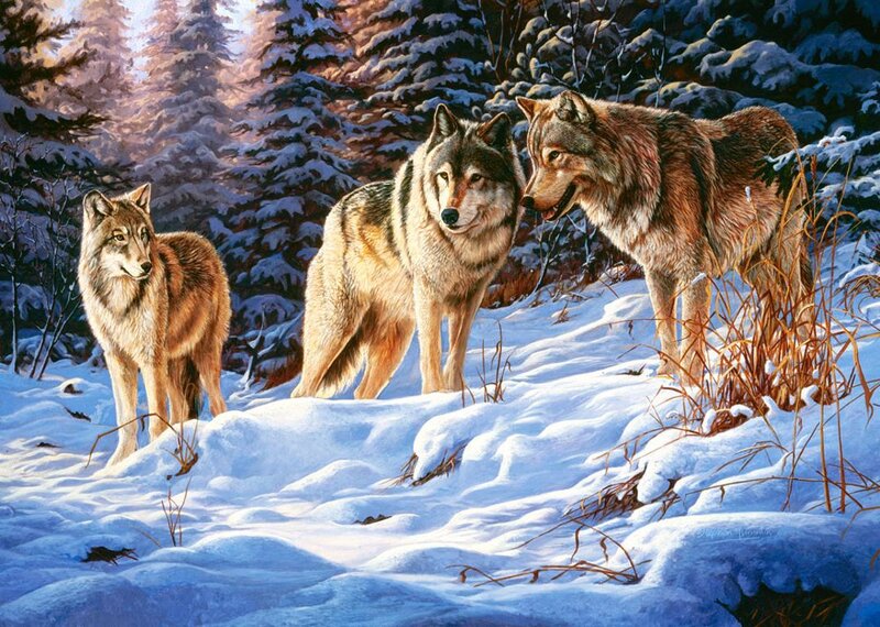 Three Wolves in Snow — White, Serene, Winter, Painting, Trees, Grass