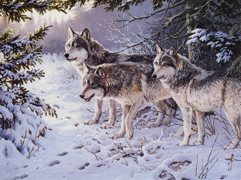 Three Wolves in Snow — White, Serene, Winter, Painting, Trees