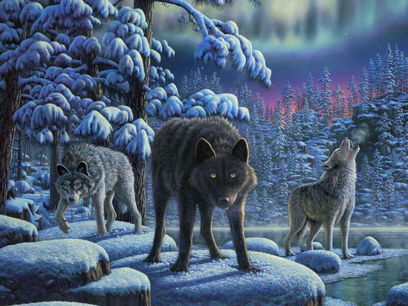Three Wolves in Winter — Blue, Dramatic, Night, Digital Art