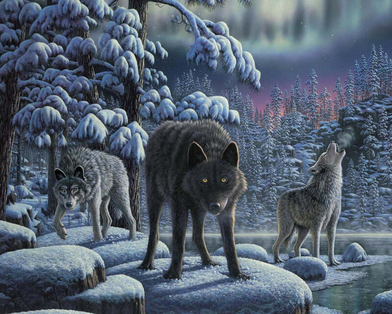 Three Wolves in Winter — Blue, Dramatic, Night