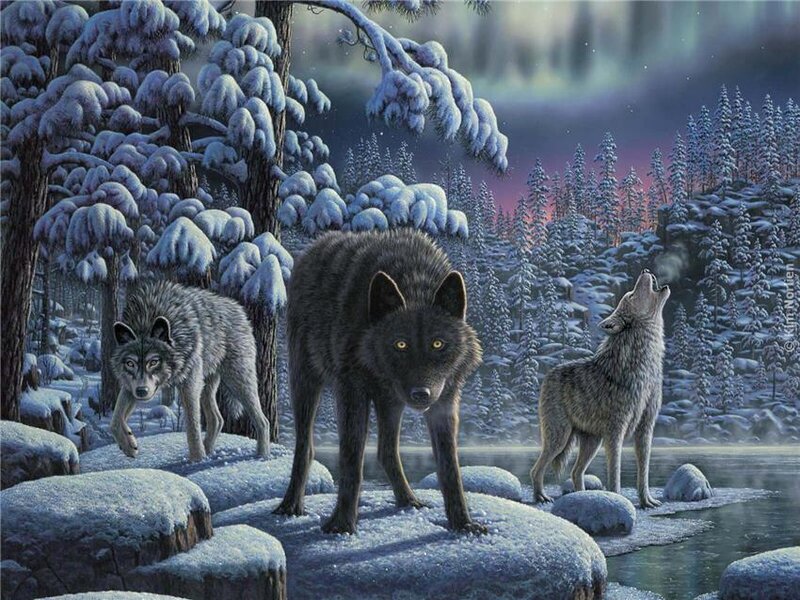 Three Wolves in Winter — Blue, Dramatic