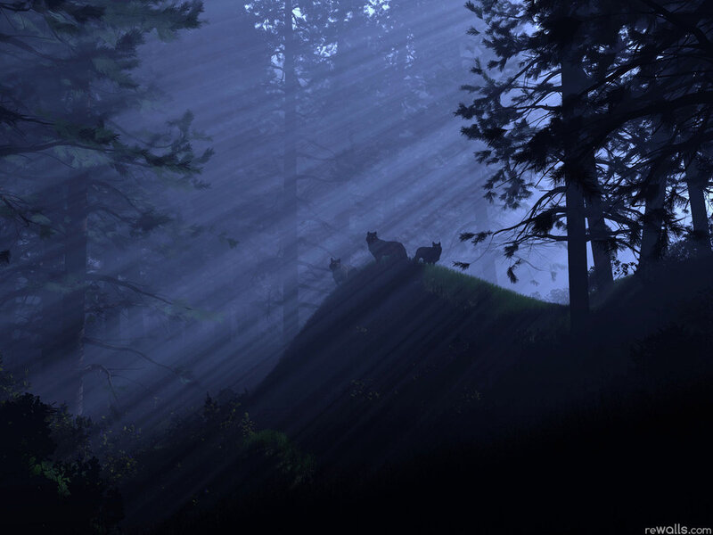 Three Wolves on a Hill