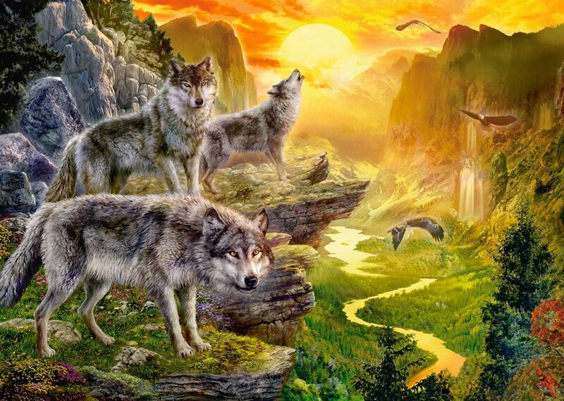 Three Wolves on Cliff