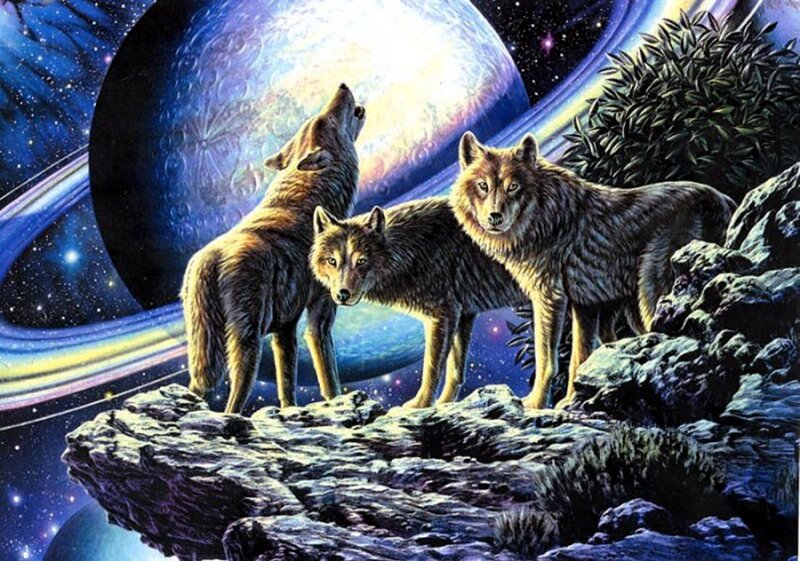 Three Wolves on Rock — Blue